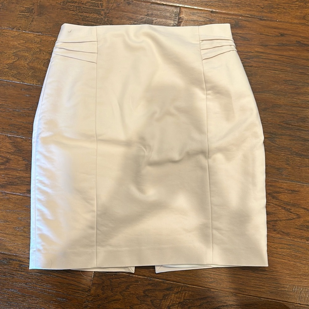 Express Pale Pink Skirt